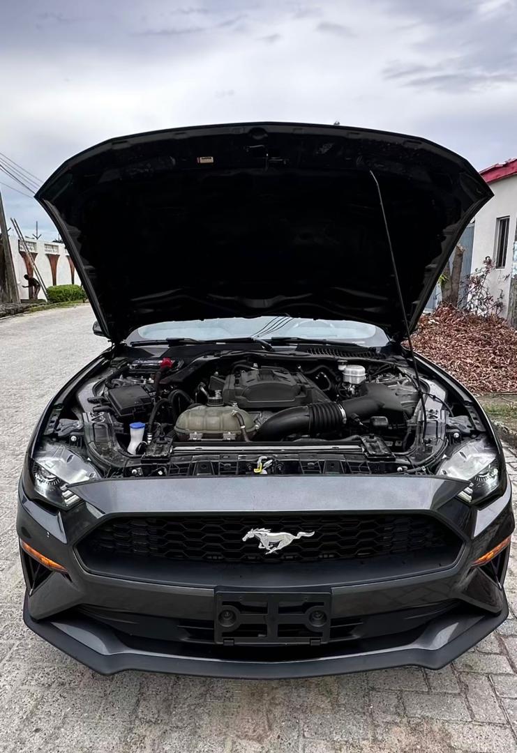 Ford Mustang (2019) image 3