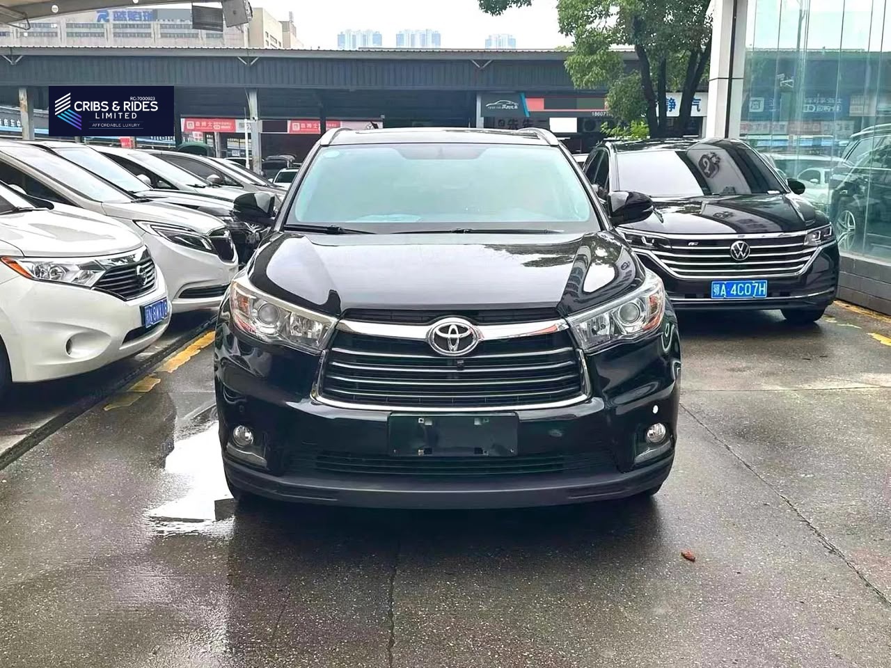 HIGHLANDER LIMITED 